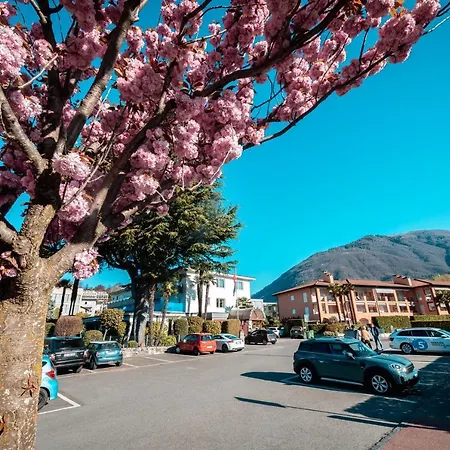 Lodge, Pool & Garden Retreat