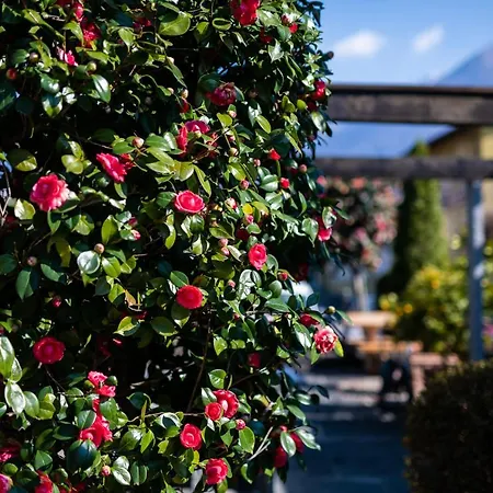 Szálloda Lodge, Pool & Garden Retreat
