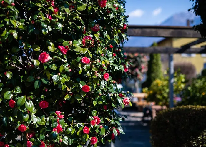 Hotel Lodge, Pool & Garden Retreat