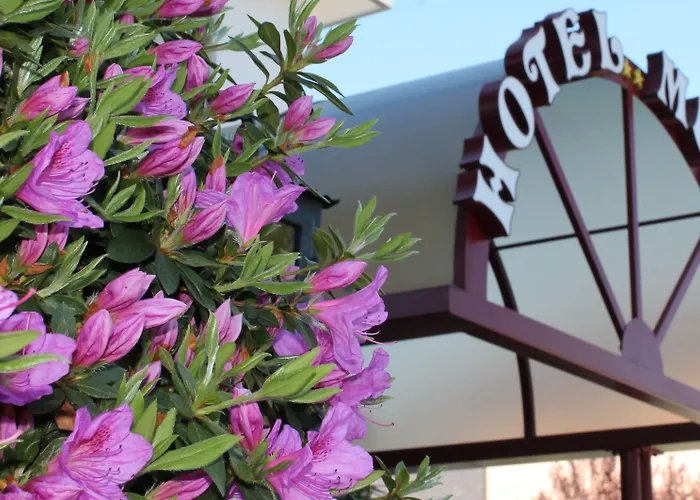 호텔 Lodge, Pool & Garden Retreat 아스꼬나