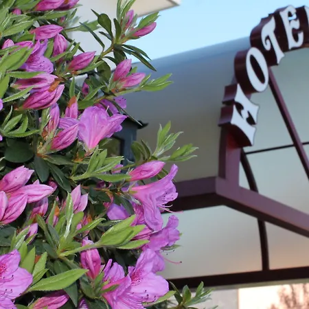 Hotel Lodge, Pool & Garden Retreat Ascona